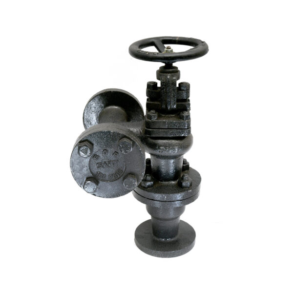 Cast Iron Accessible Feed Check Valve