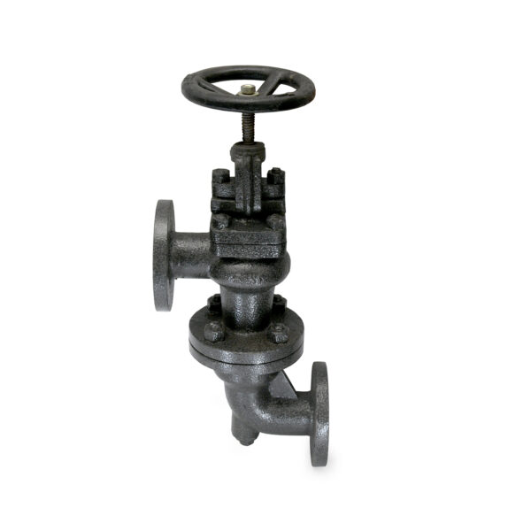 Cast Iron Accessible Feed Check Valve