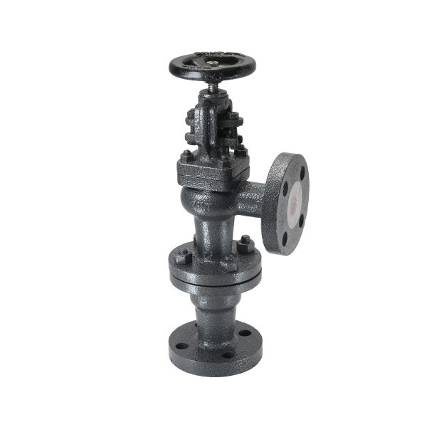 Cast Iron Accessible Feed Check Valve