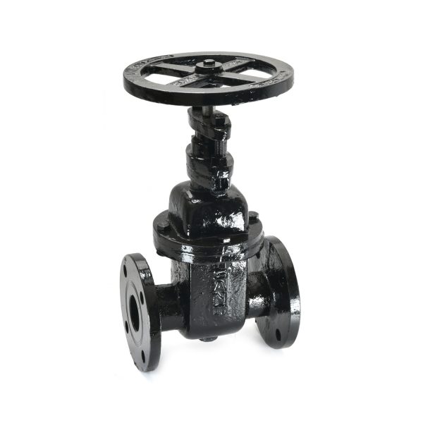 CR-19 - Cast Iron Wedge Sluice Valve