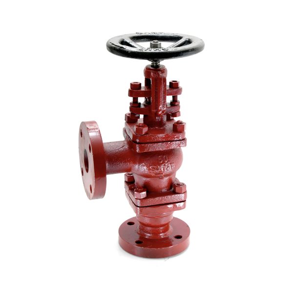 CS-5 - Cast Steel Accessible Feed Check Valve