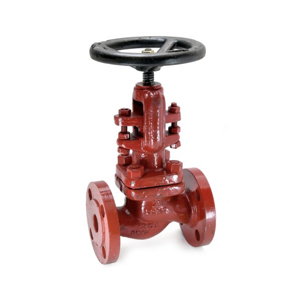 CS-1 - Cast Steel Globe Valve