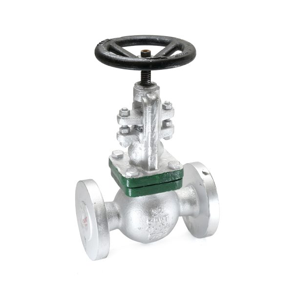 CS-10 - Cast Steel Globe Valve