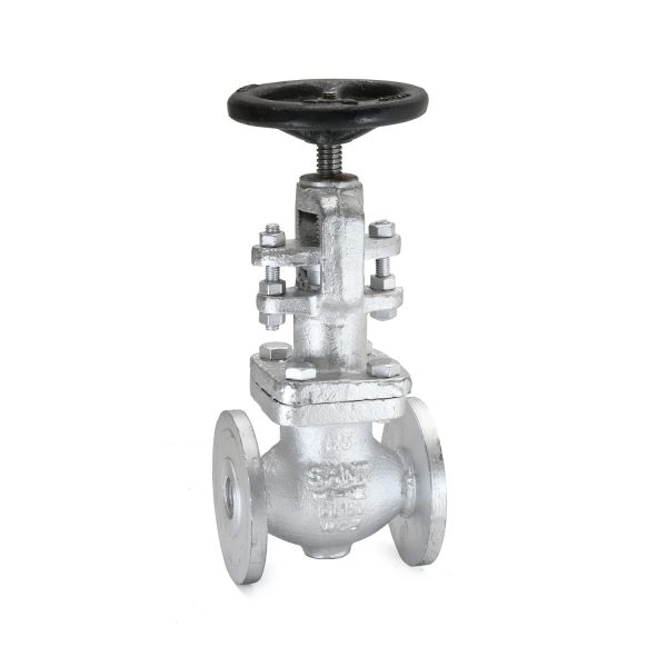 CS-9 - Cast Steel Globe Valve