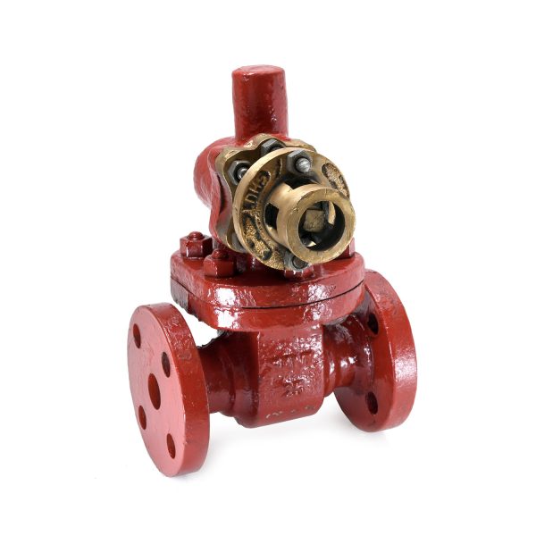 Cast Steel Parallel Slide Blow off Valve