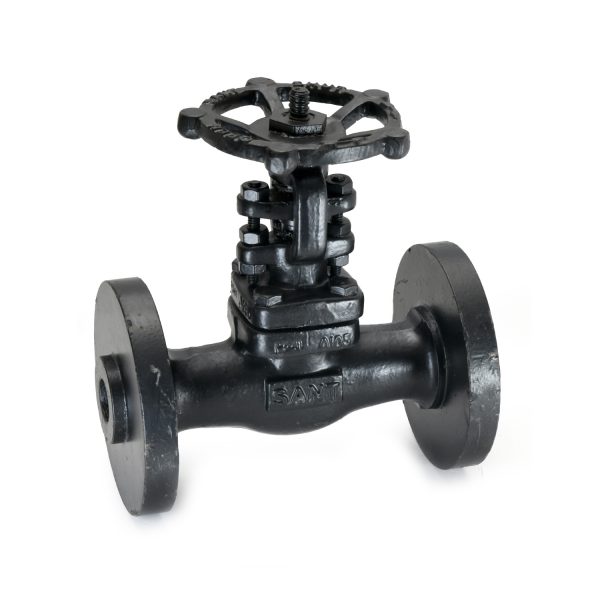 Forged Steel Gate Valve