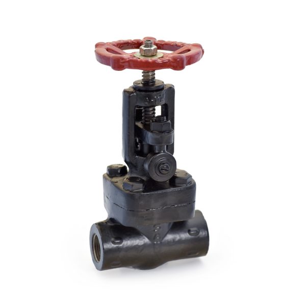 Forged Steel Globe Valve