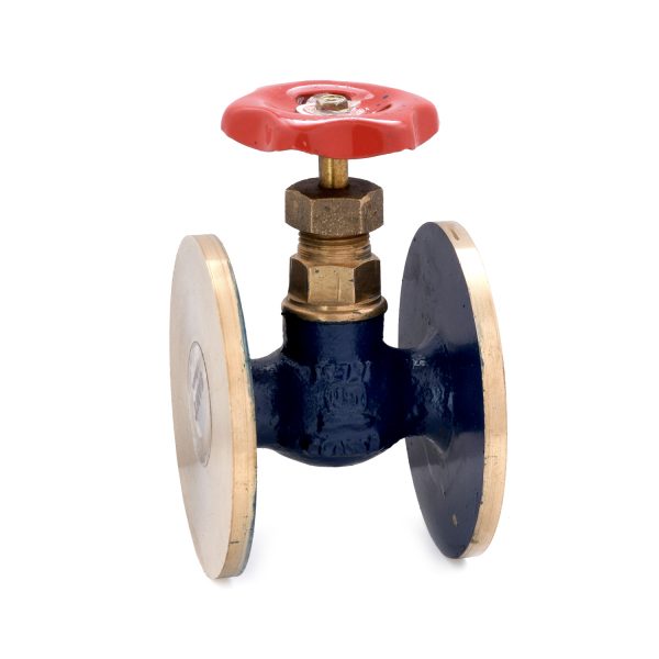 IS-10 - Bronze Globe Valve