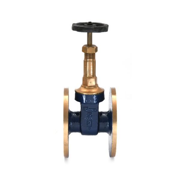 Bronze Gate Valve