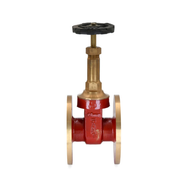 IS-6 - Bronze Gate Valve