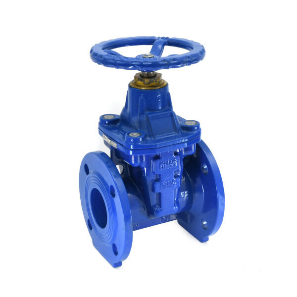DI Resilient Seated Gate Valve